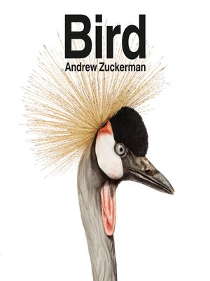 Bird - ebook